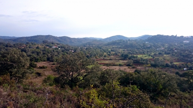 local views2