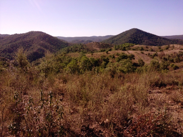 local views3